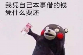 湘潭专业讨债公司有哪些核心服务？